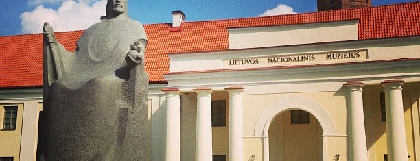 Lietuvos nacionalinis muziejus | National Museum of Lithuania is one of Orte, die Carl gefallen.