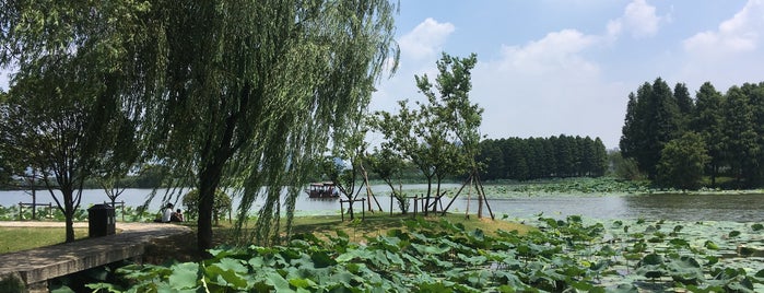 Wuxi Taihu Shantouyu Scenic Area is one of leon师傅さんのお気に入りスポット.