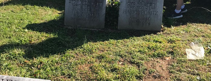 Montefiore Cemetery is one of สถานที่ที่ Brandi ถูกใจ.