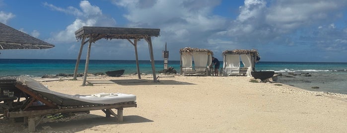 Ocean Oasis is one of Bonaire.