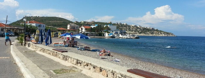 Bodrum Cafe is one of Posti che sono piaciuti a Oytun.