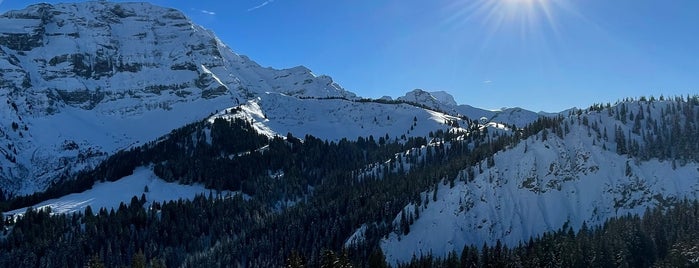Les Diablerets is one of All of the Skiing.