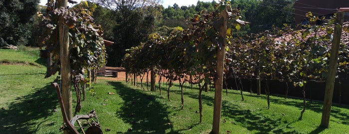 Terra do Vinho is one of Lugares guardados de Fabio.