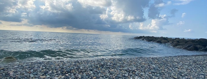 Oce Beach is one of Rize-Artvin.