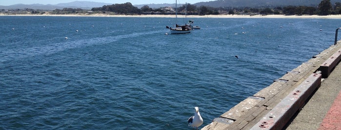 Monterey Harbor is one of Where I've been..