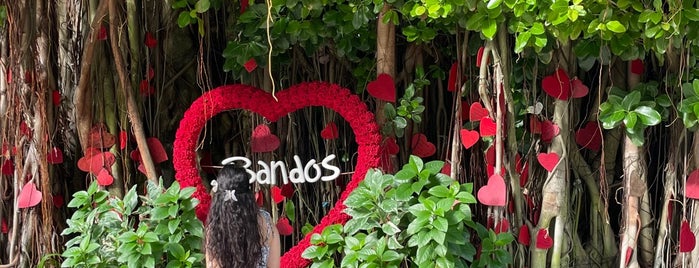 Bandos Maldives is one of BANDOS.