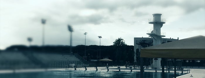 Stadio Del Nuoto is one of Ci sono stato.