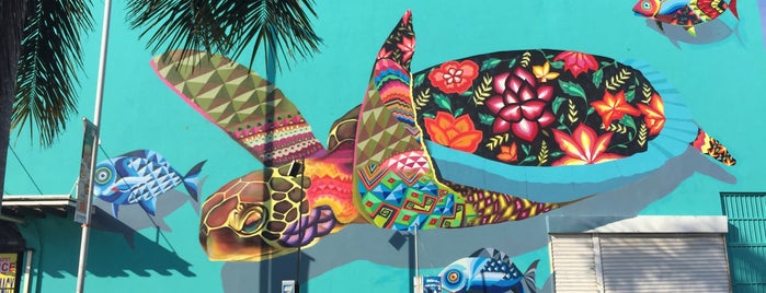 Mural Tortuga is one of Riviera Maya 2016.