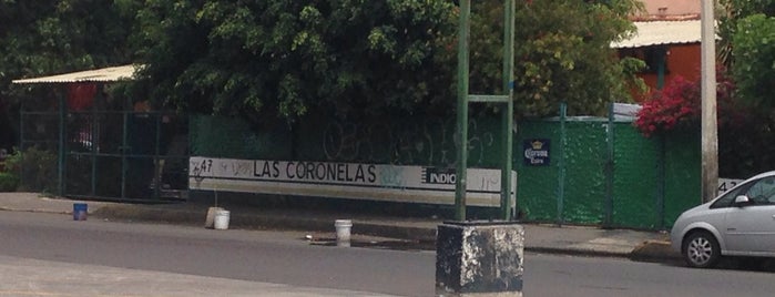 Las Coronelas is one of Locais salvos de Luis.