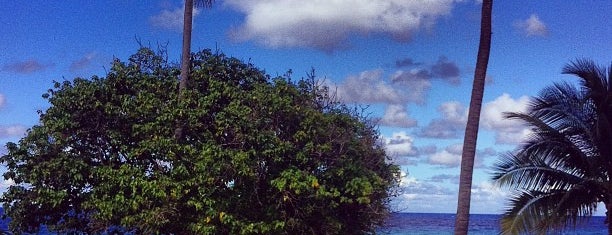 Renaissance St. Croix Carambola Beach Resort & Spa is one of Orte, die Ico gefallen.