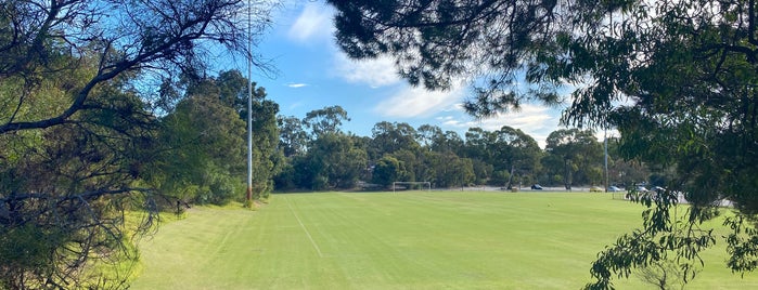 Soccer Fields is one of Joondalup Campus.