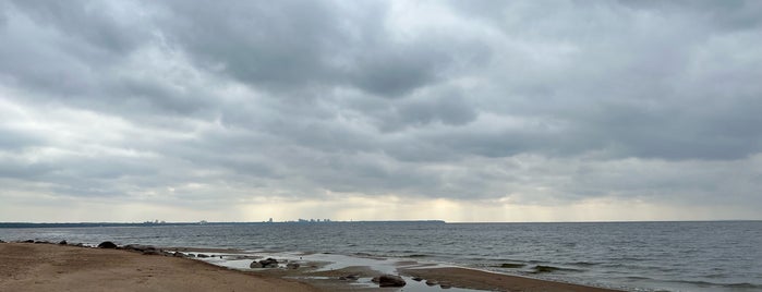 Пляж «Берег вблизи Пенат» is one of Korjata.