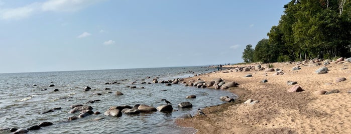 Берег Финского Залива is one of Пляжи Санкт-Петербурга.