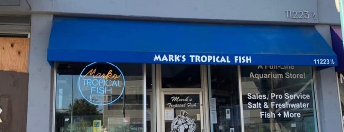 Mark's Tropical Fish is one of To Try - Elsewhere17.