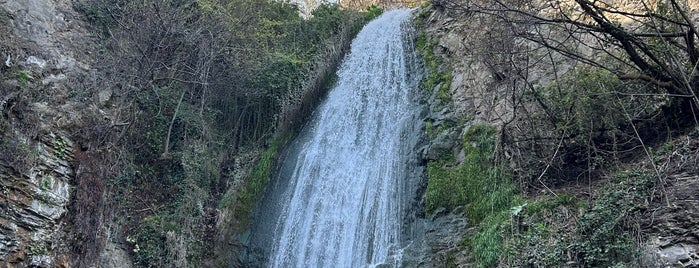Waterfall in Botanical Garden is one of Tbilisi.