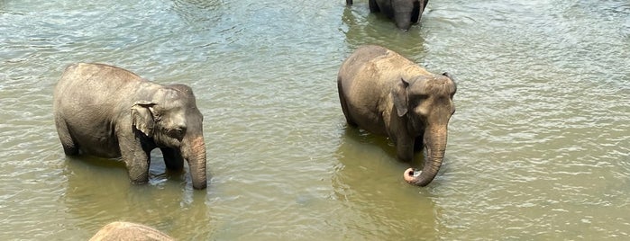 Elephants' Bath is one of Sir Lanka.