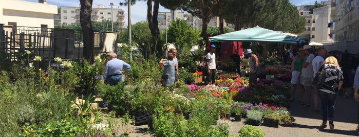 Mercato settimanale di Ostuni is one of Puglia.