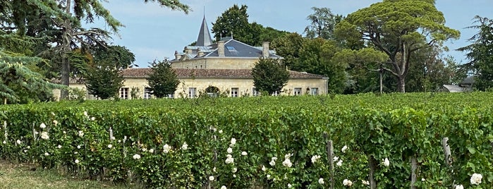 Château Cheval Blanc is one of Vin.
