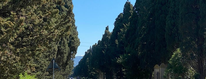 Cipressi di Bolgheri is one of Toscana, Piemonte, Liguria, Emilia-Romagna.