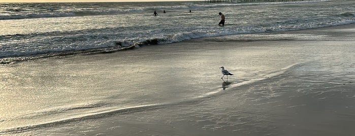 Pacific Beach is one of สถานที่ที่ Brandon ถูกใจ.