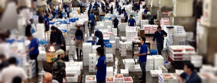 Tsukiji Market is one of Visiting Japan.