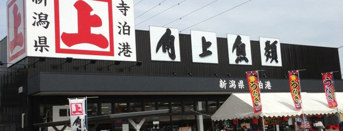Kakujo Gyorui is one of สถานที่ที่บันทึกไว้ของ fuji.
