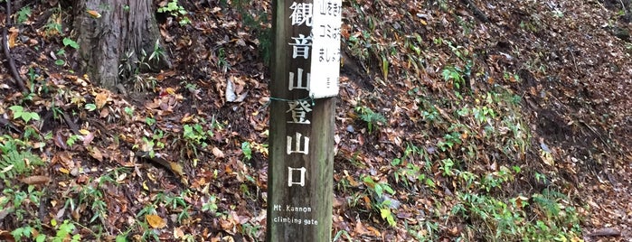 観音山 is one of 訪問済みの城.