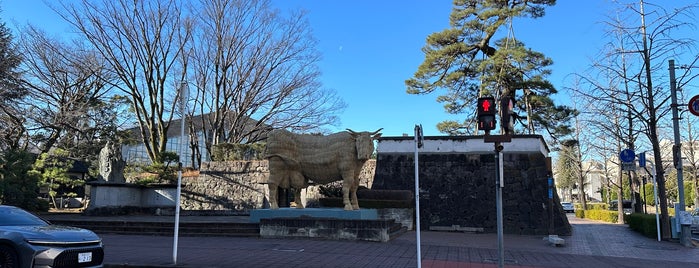 Takasaki Castle Ruins is one of 青天を衝け紀行.