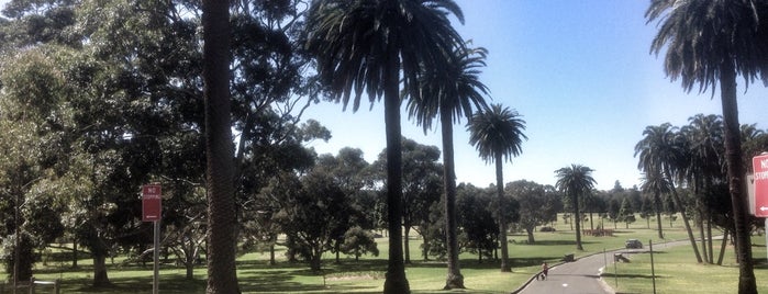 Centennial Park is one of Sydney To Do (mostly free/cheap).