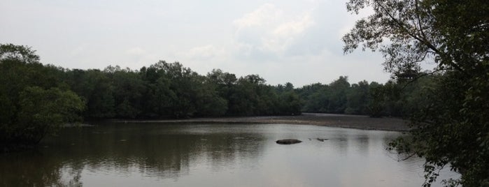 Sungei Buloh Wetland Reserve is one of Singapore.