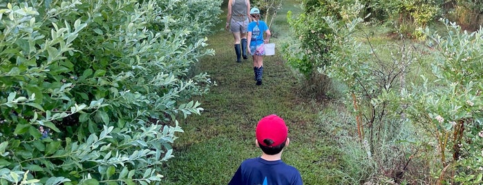 Nesbit Blueberry Farm is one of Places To Go.