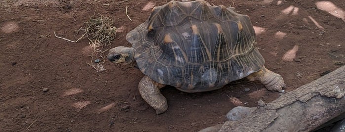 Rosamond Gifford Zoo is one of U.S. Road Trip.