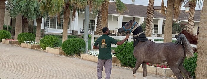 مربط القاسمية للخيول العربية الاصيلة is one of Riyadh.