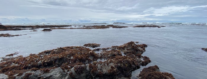 Moss Beach Park is one of SFBayArea_FamilyPlaces.