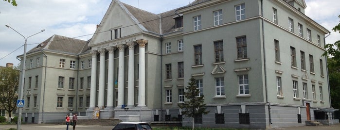 Волинський краєзнавчий музей is one of Улюблені місця ❤.