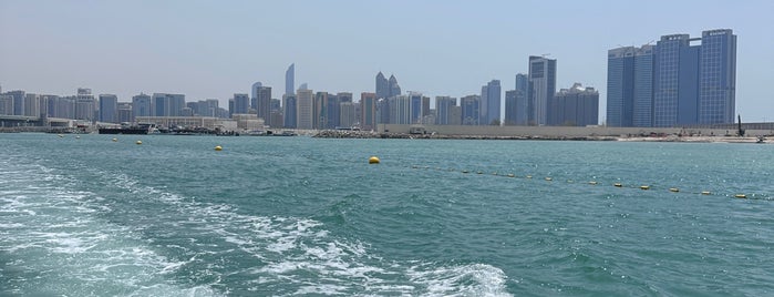 Zayed Port is one of Dubai + Abu Dhabi.