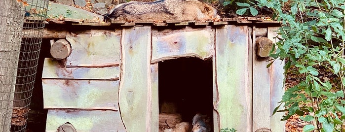 Berenbos is one of Kevin'in Beğendiği Mekanlar.