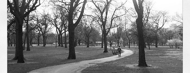 Washington Park is one of David’s Liked Places.