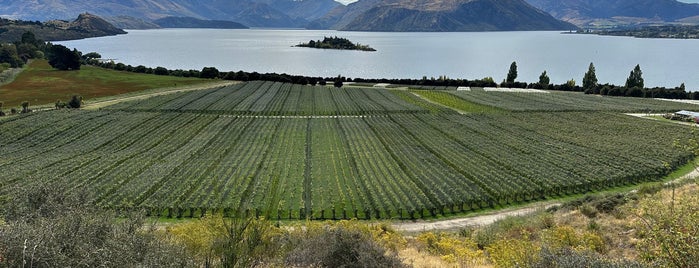 Rippon Vinyard & Winery is one of New Zealand's Pinot Noir Capital.