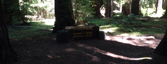 Montgomery Woods State Natural Reserve is one of cnelson : понравившиеся места.