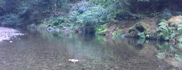 Samuel P. Taylor State Park is one of สถานที่ที่ Samuel ถูกใจ.