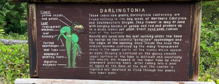 Darlingtonia State Natural Site is one of cnelson'un Beğendiği Mekanlar.