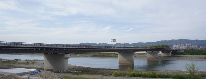 岩出橋 is one of 渡った橋（西日本）.