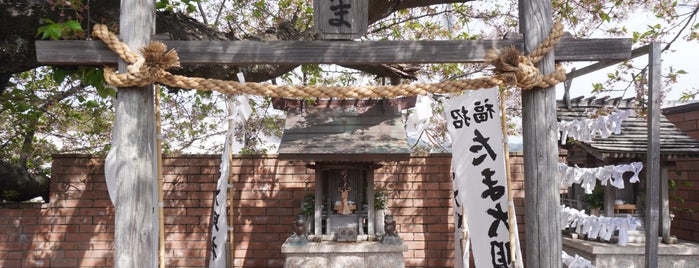 Tama Shrine is one of Random Places To Go.