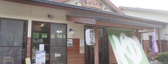 道の駅 椿はなの湯 is one of 訪問した道の駅.