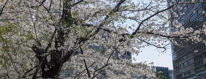 Kasumigaseki Building is one of 八重洲・日本橋.