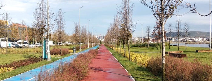 Kamil Abdüş Gölü is one of istanbul gidilecekler anadolu 2.