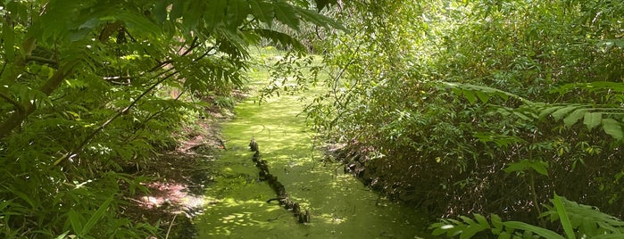 Rhododendronhain is one of Berlin Best: Parks & Lakes.