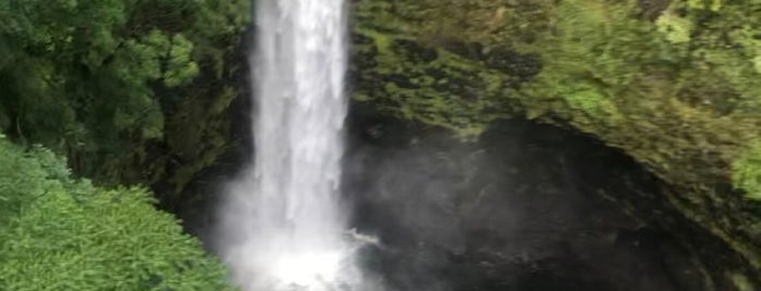 Akaka Falls Zipline is one of Hawaii.