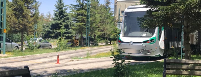 Ulaşım Planlama ve Raylı Sistemler Daire Başkanlığı is one of Lieux qui ont plu à Fatih.